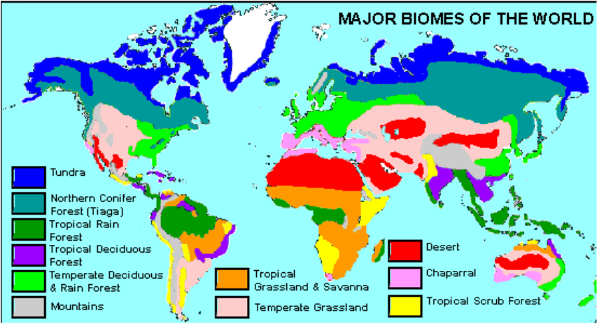 Taiga - Mrs. Grondin Major Biomes of the World
